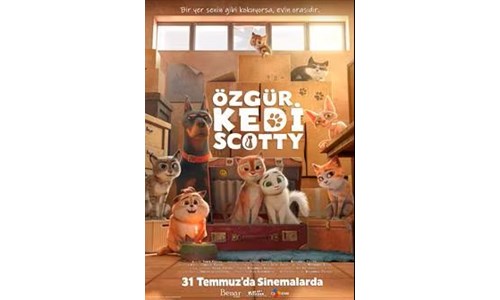 ÖZGÜR KEDİ SCOTTY